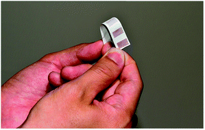 Graphical abstract: An ink-jet printed, surface enhanced Raman scattering paper for food screening
