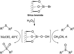 Graphical abstract: Selective synthesis of sulfoxides and sulfones from sulfides using silica bromide as the heterogeneous promoter and hydrogen peroxide as the terminal oxidant