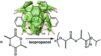 Graphical abstract: Magnesium complexes bearing N,N-bidentate phenanthrene derivatives for the stereoselective ring-opening polymerization of rac-lactides