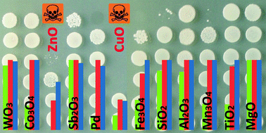 Graphical abstract: Toxicity of 12 metal-based nanoparticles to algae, bacteria and protozoa