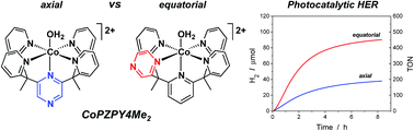 Graphical abstract: Bioinspired design of redox-active ligands for multielectron catalysis: effects of positioning pyrazine reservoirs on cobalt for electro- and photocatalytic generation of hydrogen from water