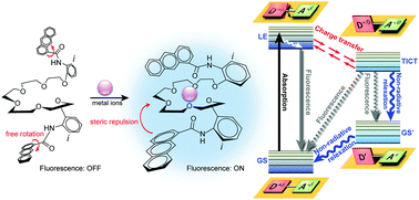 Graphical abstract: Recent advances in twisted intramolecular charge transfer (TICT) fluorescence and related phenomena in materials chemistry