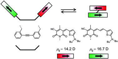 Graphical abstract: Folding-induced exciton coupling in homo- and heterodimers of merocyanine dyes