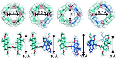 Graphical abstract: Oxatub[4]arene: a molecular “transformer” capable of hosting a wide range of organic cations