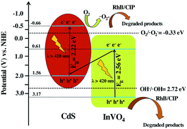 Graphical abstract: Fabrication of novel Z-scheme InVO4/CdS heterojunctions with efficiently enhanced visible light photocatalytic activity