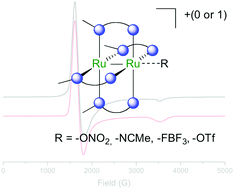 Graphical abstract: Anilinopyridinate-supported Ru2x+ (x = 5 or 6) paddlewheel complexes with labile axial ligands