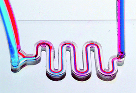 Graphical abstract: 3D-printing of transparent bio-microfluidic devices in PEG-DA