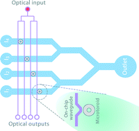 Graphical abstract: Oligonucleotide-based label-free detection with optical microresonators: strategies and challenges