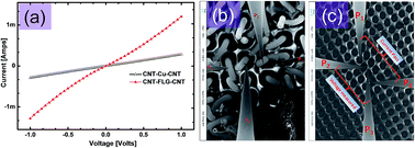 Graphical abstract: Graphene–CNT hetero-structure for next generation interconnects