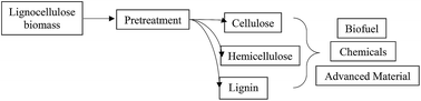 Graphical abstract: Pretreatment and conversion of lignocellulose biomass into valuable chemicals