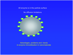 Graphical abstract: Nanomaterials for biocatalyst immobilization – state of the art and future trends