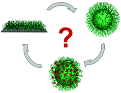 Graphical abstract: Controlled and tunable design of polymer interface for immobilization of enzymes: does curvature matter?