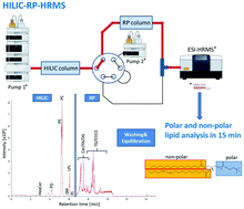 Graphical abstract: Simultaneous non-polar and polar lipid analysis by on-line combination of HILIC, RP and high resolution MS