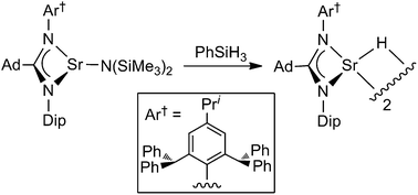 Graphical abstract: Kinetic stabilisation of a molecular strontium hydride complex using an extremely bulky amidinate ligand