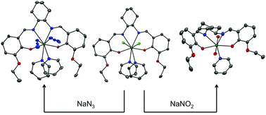 Graphical abstract: Schiff base thorium(iv) and uranium(iv) chloro complexes: synthesis, substitution and oxidation chemistry