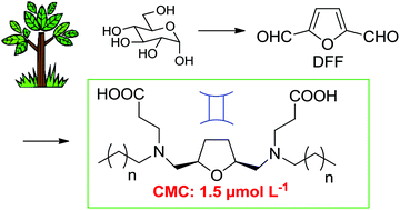 Graphical abstract: β-Amino acid derived gemini surfactants from diformylfuran (DFF) with particularly low critical micelle concentration (CMC)