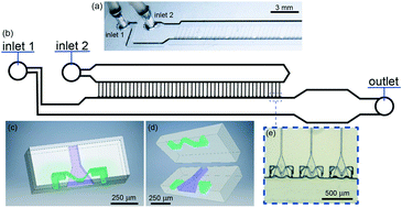 Graphical abstract: Production of monodisperse drops from viscous fluids