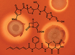 Graphical abstract: Antibiotics from Gram-negative bacteria: a comprehensive overview and selected biosynthetic highlights