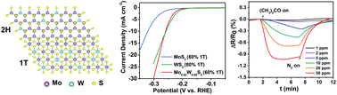 Graphical abstract: Composition- and phase-controlled synthesis and applications of alloyed phase heterostructures of transition metal disulphides