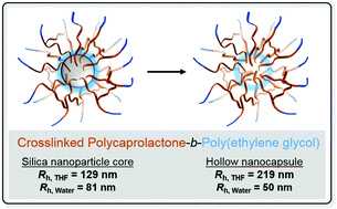 Graphical abstract: Hollow amphiphilic crosslinked nanocapsules from sacrificial silica nanoparticle templates and their application as dispersants for oil spill remediation