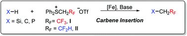 Graphical abstract: Fe-Catalyzed insertion of fluoromethylcarbenes generated from sulfonium salts into X–H bonds (X = Si, C, P)