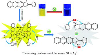 Graphical abstract: A novel self-assembled supramolecular sensor based on thiophene-functionalized imidazophenazine for dual-channel detection of Ag+ in an aqueous solution