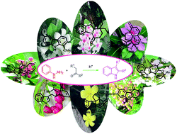 Graphical abstract: Fischer indole synthesis applied to the total synthesis of natural products