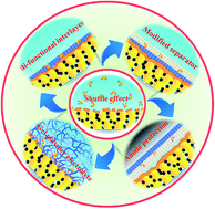 Graphical abstract: Recent innovative configurations in high-energy lithium–sulfur batteries