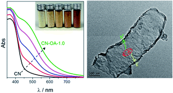 Graphical abstract: Advancing the n → π* electron transition of carbon nitride nanotubes for H2 photosynthesis