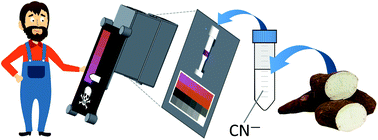 Graphical abstract: Quantifying cyanide in water and foodstuff using corrin-based CyanoKit technologies and a smartphone