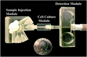 Graphical abstract: Use of 3D printing and modular microfluidics to integrate cell culture, injections and electrochemical analysis