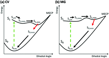 Graphical abstract: Two-dimensional electronic-vibrational spectroscopic study of conical intersection dynamics: an experimental and electronic structure study