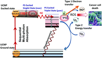 Graphical abstract: Upconversion in photodynamic therapy: plumbing the depths