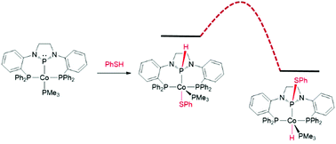 Graphical abstract: Cooperative activation of O–H and S–H bonds across the Co–P bond of an N-heterocyclic phosphido complex