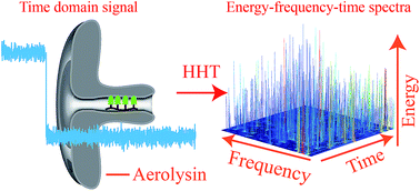 Graphical abstract: Measuring a frequency spectrum for single-molecule interactions with a confined nanopore