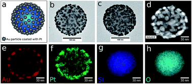 Graphical abstract: Optimizing hot carrier effects in Pt-decorated plasmonic heterostructures