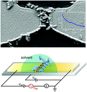 Graphical abstract: Simultaneous assembly of van der Waals heterostructures into multiple nanodevices