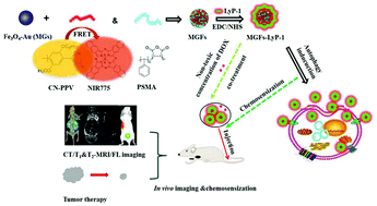 Graphical abstract: A theranostic nanoplatform: magneto-gold@fluorescence polymer nanoparticles for tumor targeting T1&T2-MRI/CT/NIR fluorescence imaging and induction of genuine autophagy mediated chemotherapy