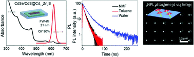 Graphical abstract: Ultrahigh-efficiency aqueous flat nanocrystals of CdSe/CdS@Cd1−xZnxS colloidal core/crown@alloyed-shell quantum wells