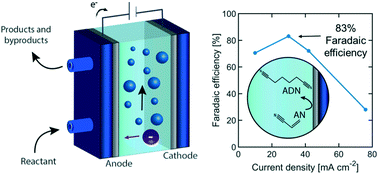 Graphical abstract: Enhancing selectivity and efficiency in the electrochemical synthesis of adiponitrile