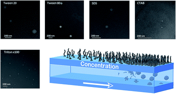 Graphical abstract: A robust method for critical micelle concentration determination using coumarin-6 as a fluorescent probe