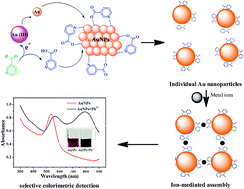 Graphical abstract: Preparation of gold nanoparticles using pyridine-formaldehyde as a reducing agent and its application in high sensitivity colorimetric detection of Pb2+