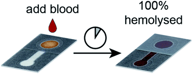 Graphical abstract: In situ hemolysis in a three-dimensional paper-based device for quantification of intraerythrocytic analytes