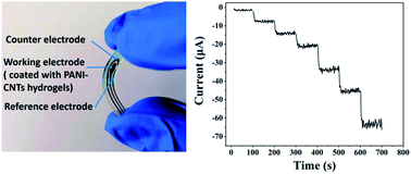 Graphical abstract: A flexible and highly sensitive nitrite sensor enabled by interconnected 3D porous polyaniline/carbon nanotube conductive hydrogels