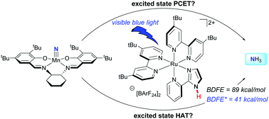 Graphical abstract: Evaluation of excited state bond weakening for ammonia synthesis from a manganese nitride: stepwise proton coupled electron transfer is preferred over hydrogen atom transfer