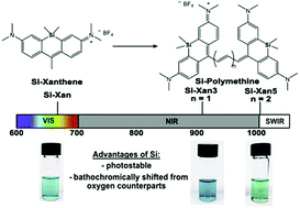 Graphical abstract: Silicon incorporation in polymethine dyes