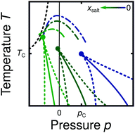 Graphical abstract: Glass polymorphism and liquid–liquid phase transition in aqueous solutions: experiments and computer simulations