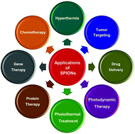 Graphical abstract: Superparamagnetic iron oxide nanoparticulate system: synthesis, targeting, drug delivery and therapy in cancer