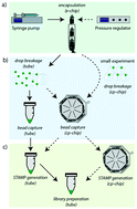 Graphical abstract: Simplified Drop-seq workflow with minimized bead loss using a bead capture and processing microfluidic chip