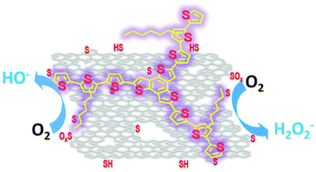 Graphical abstract: (Photo)electrocatalysis of molecular oxygen reduction by S-doped graphene decorated with a star-shaped oligothiophene